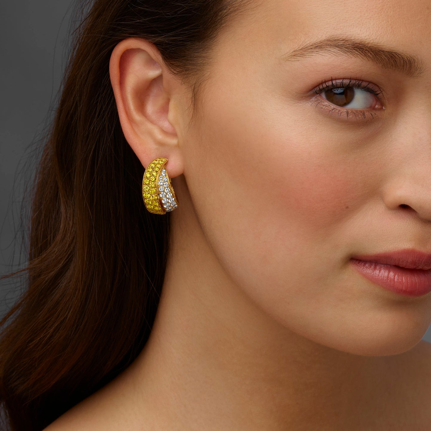 Macklowe Gallery Van Cleef & Arpels Paris Fancy Yellow Diamond  Earrings