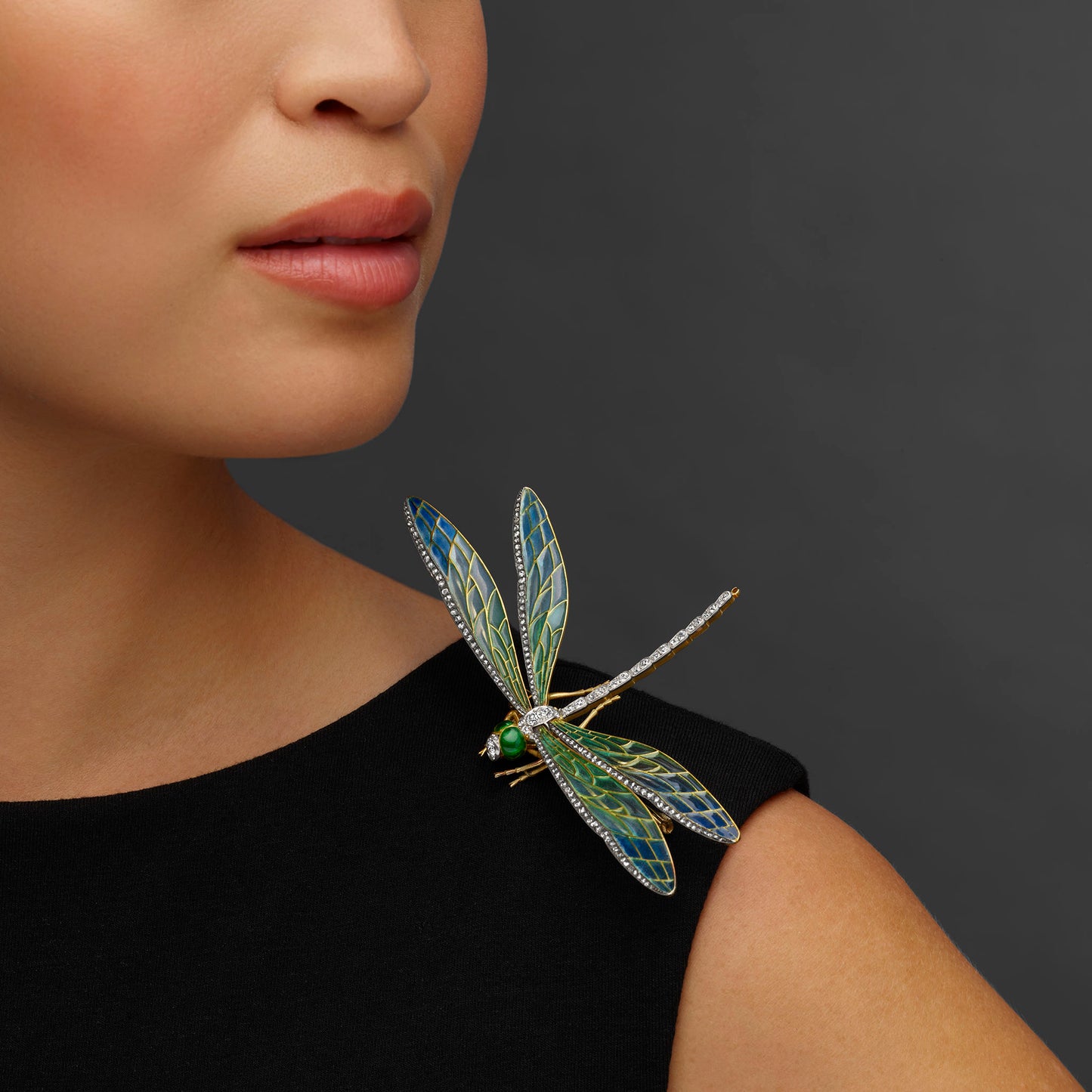 Macklowe Gallery Edgar Bensé for Boucheron Plique-à-jour Enamel Dragonfly Brooch