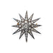 Macklowe Gallery Antique Diamond Star Brooch