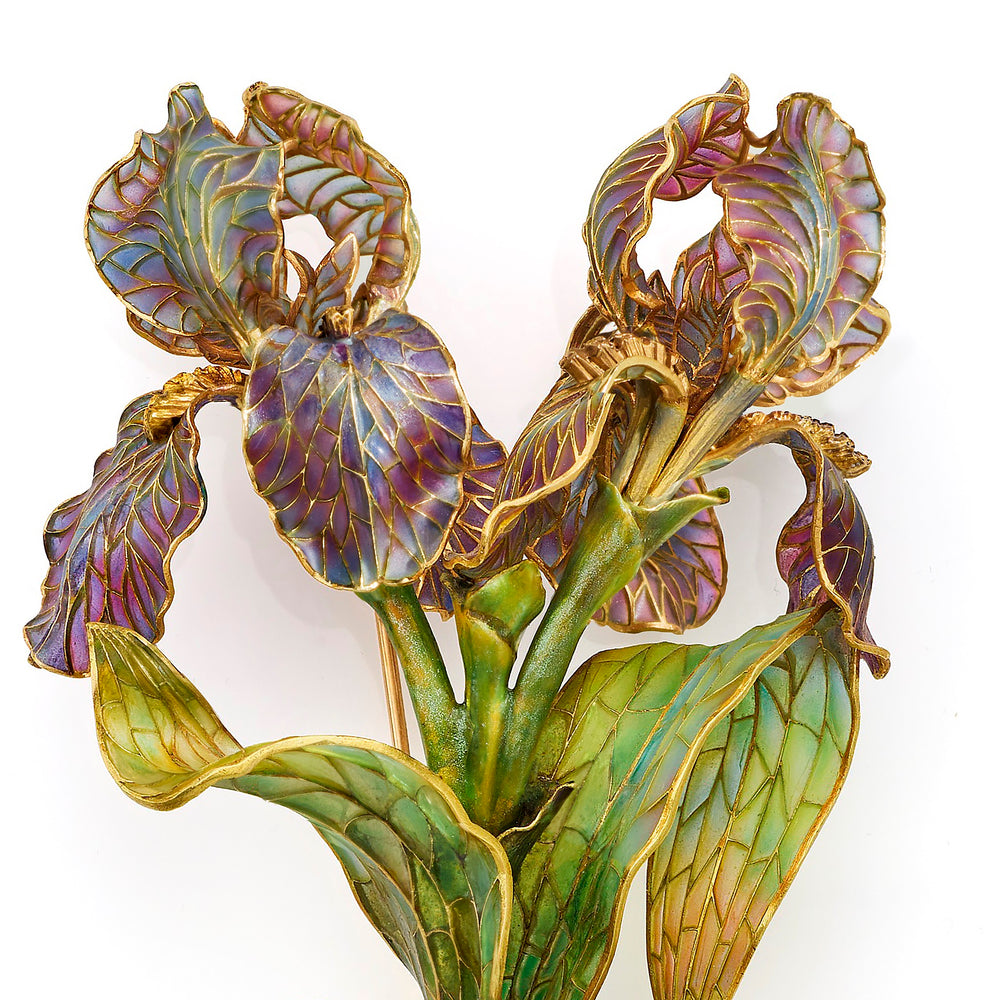 
                      
                        Macklowe Gallery Marcus & Co. Art Nouveau Enamel Iris Brooch
                      
                    