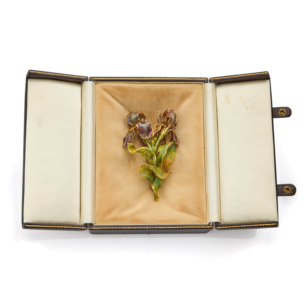 
                      
                        Macklowe Gallery Marcus & Co. Art Nouveau Enamel Iris Brooch
                      
                    